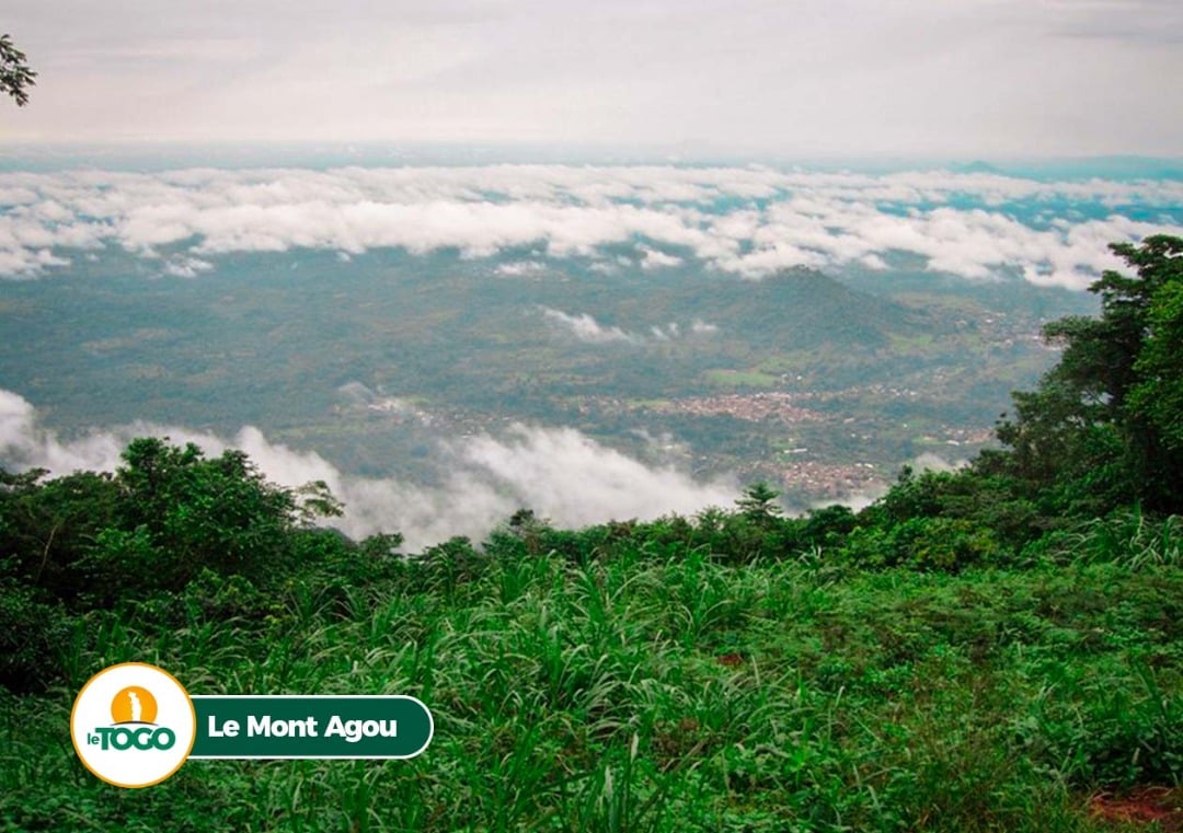Forêt sacrée d'Assévé